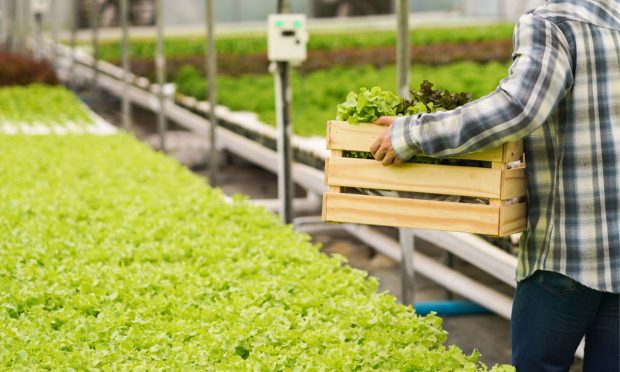 Kenyan Agricultural Supply Chain Startup iProcure Closes $10.2M Series B