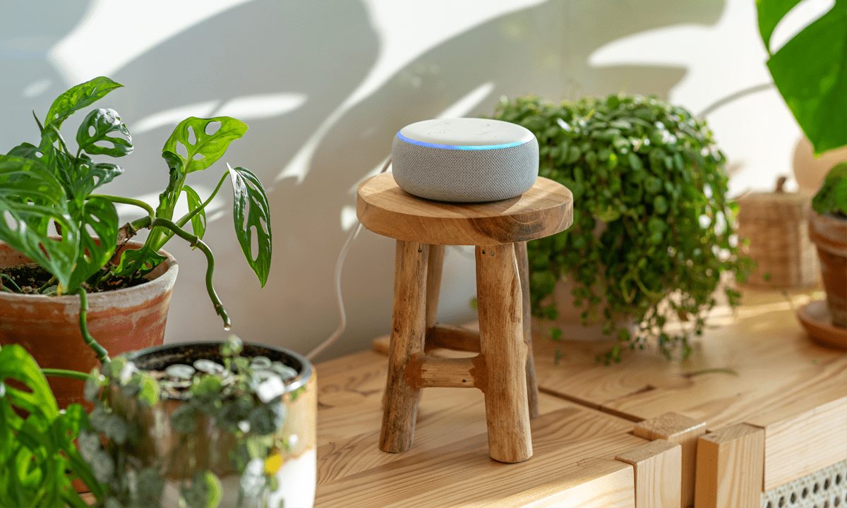 Amazon, Google Hear Consumers, Crank Up Volume of Voice Commerce Touchpoints
