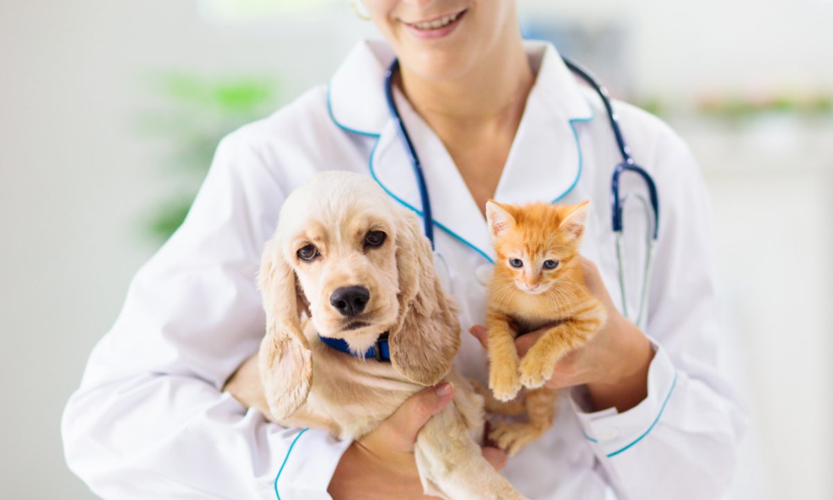 FTC Scrutinizes Proposed $3.5 Billion Veterinary Products Merger
