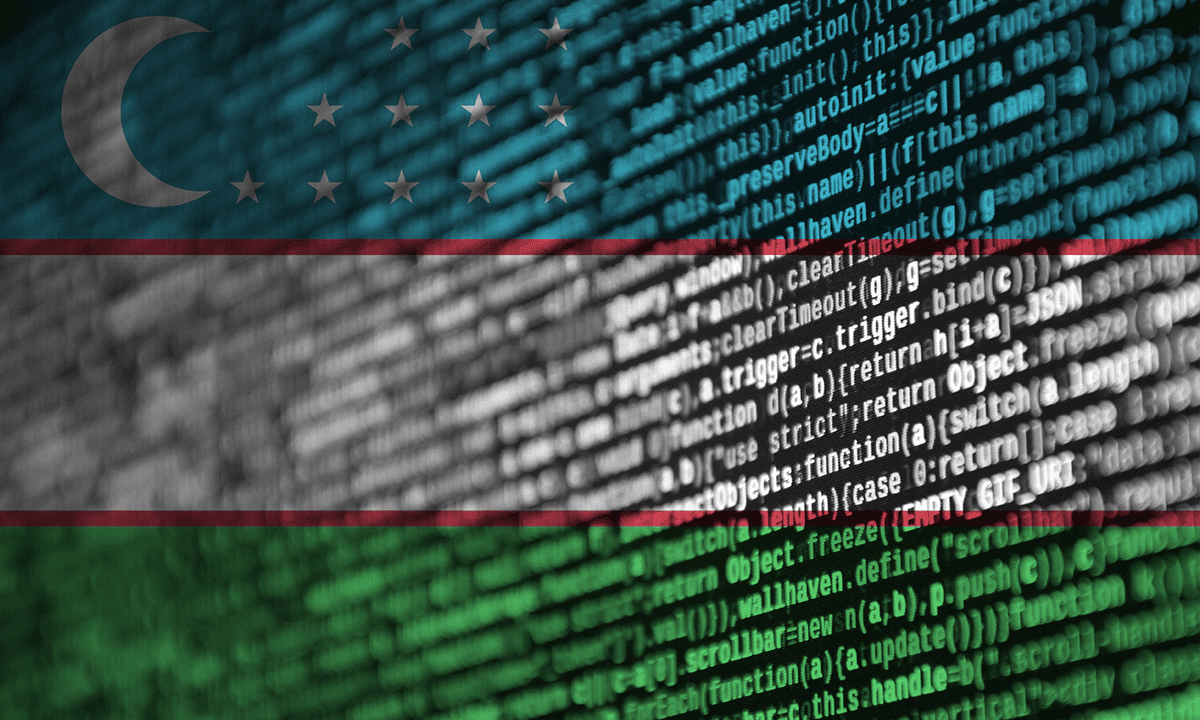Report: Uzbek Firm Says Tech Issues Halted Processing Russian Mir Cards