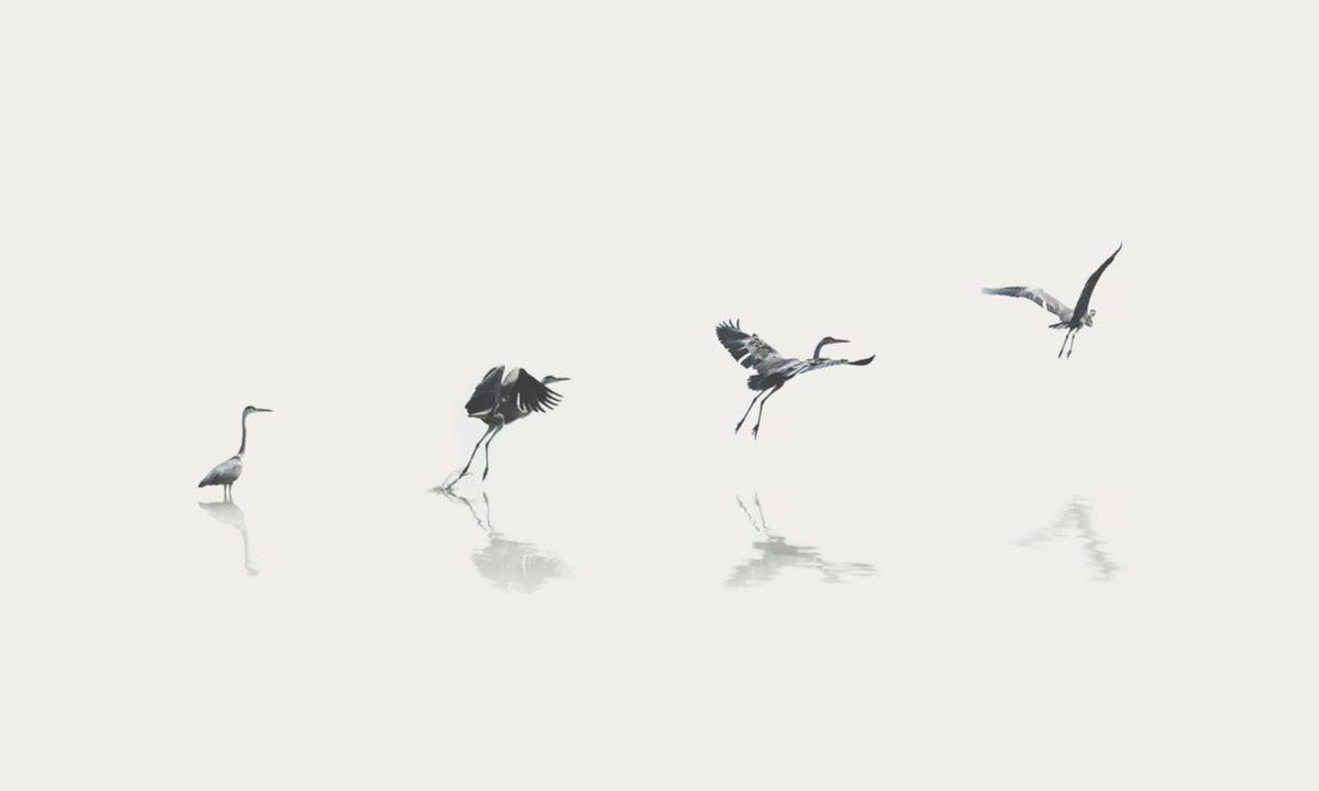 Real-Time Payments Shift Will Be a Case of Evolution, Not Revolution