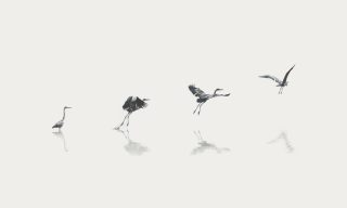 Real-Time Payments Shift Will Be a Case of Evolution, Not Revolution