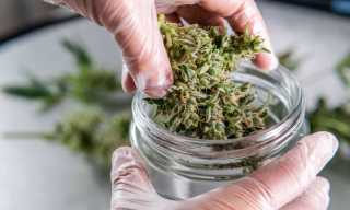 Safe Harbor Financial to Buy Abaca and Expand Cannabis FinTech Platform