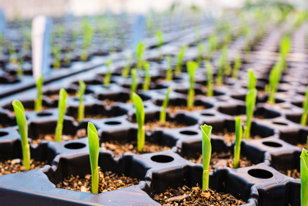 FoodTech Investments Help Streamline Africa’s Agriculture Trade, Connect Fragmented Supply Chains