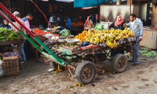 MENA Food Retailers Tap Tech to Improve Supply Chain Inefficiencies