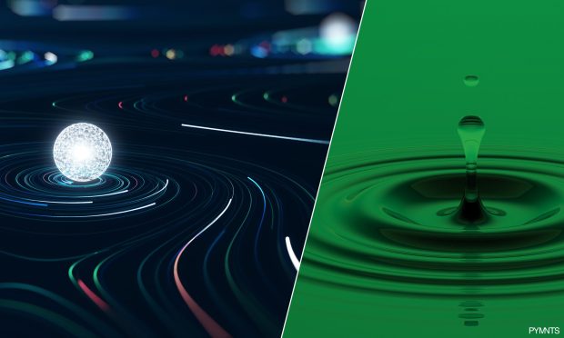 FinTech Execs Expose the Real Costs of Fraud