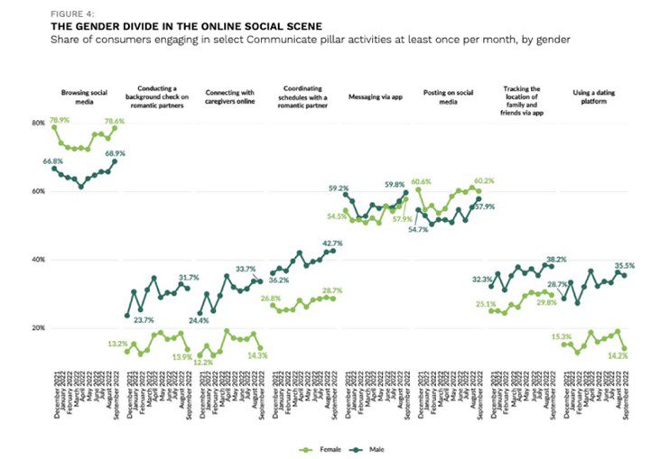 Gender divide, online social scene