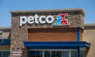 Petco Brings Together Products and Services in Single Membership Program
