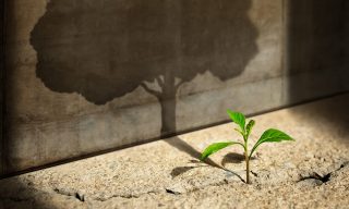 The Four Growth Missions at the Heart of Treasury Transformation