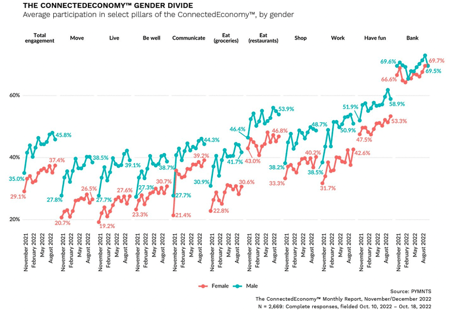 Connected economy gender divide