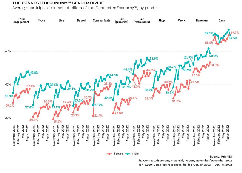 Connected economy gender divide