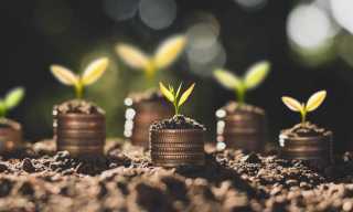 VC Investors Eye European B2B Software Firms