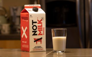 FoodTech Firm NotCo Expands AI Offering After $70M Series D1