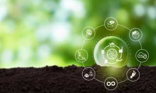 Sustainable Supply Chain Finance Gains Traction in MENA