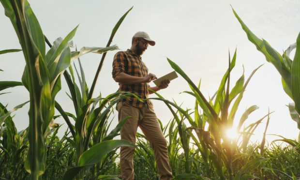 How Farmers Use Big Data Networks to Keep Food Prices Lower