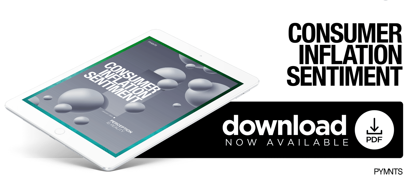 PYMNTS - Consumer Inflation Sentiment: Perception Is Reality - January 2023 - Explore how Unites States consumers view current inflation and how they are dealing with rising prices