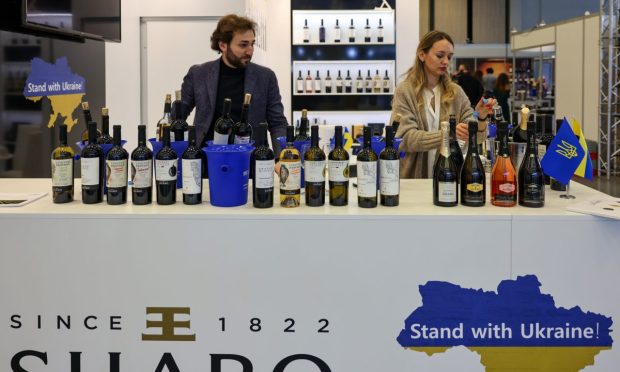 Ukraine’s Small Businesses Find Silver Lining in Digital Payments