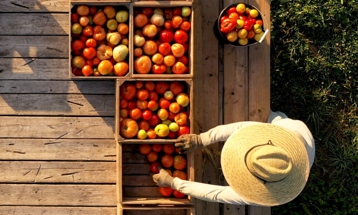 ProducePay Adds Virtual Storefronts to Global Produce Industry Marketplace