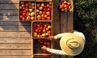 ProducePay Adds Virtual Storefronts to Global Produce Industry Marketplace