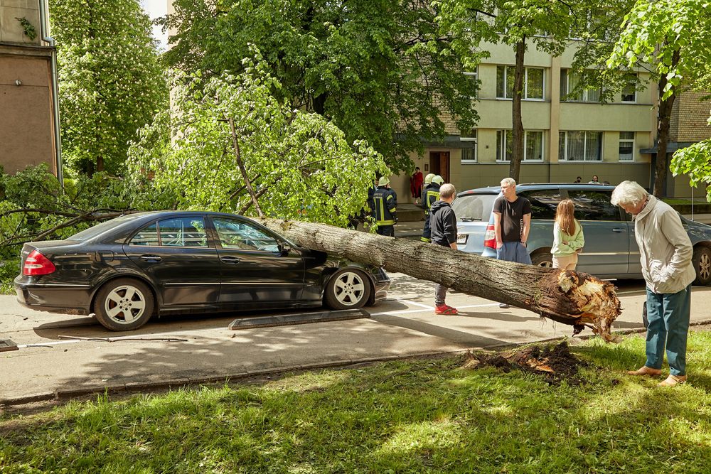 $277B in Insurance Payouts Sent Via Instant Payments in 2022