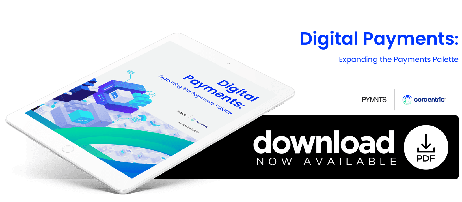 Download the March/April 2023 PYMNTS and Corcentric Report "Digital Payments: Expanding the Payments Palette" to learn more about how businesses have invested in digital payment systems during the past three years and the factors influencing CFOs’ technology budgeting decisions.