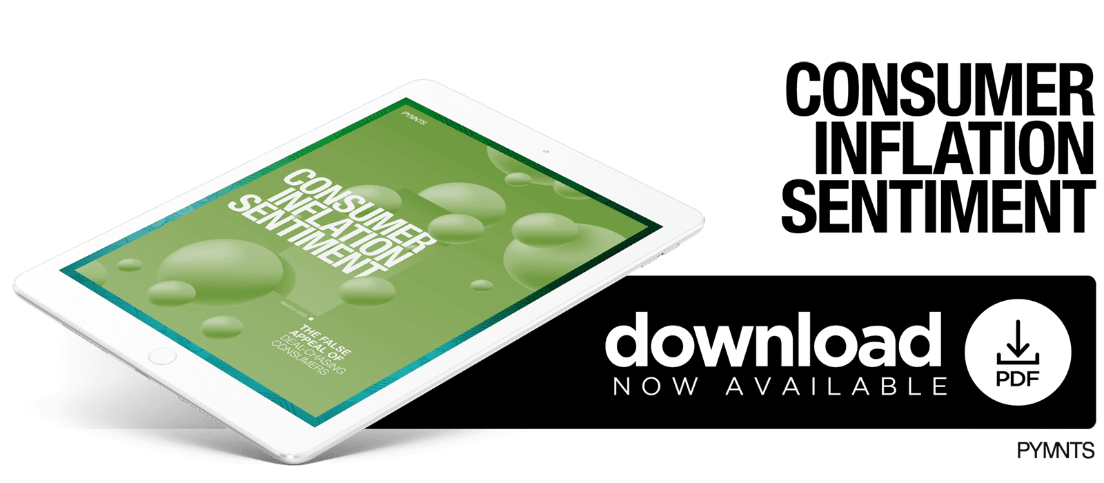 PYMNTS - Consumer Inflation Sentiment: The False Appeal of Deal-Chasing Consumers - March 2023