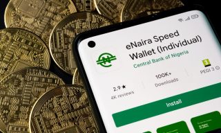 Nigerian Cash Shortage Drives 63% Uptick in Digital Currency Use