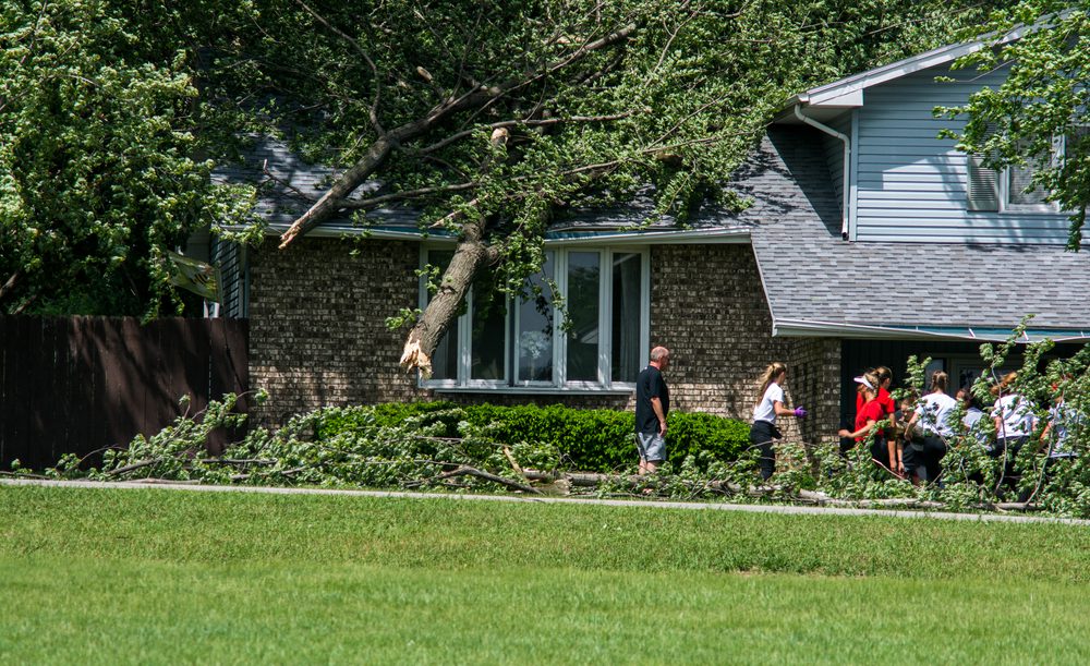 Lack of Instant Insurance Claims Payout Options Risks Customer Loyalty