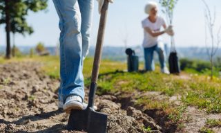 Swiping Right on Personalization: How an Ex-Tinder CEO Is Growing an Online Nursery Business 