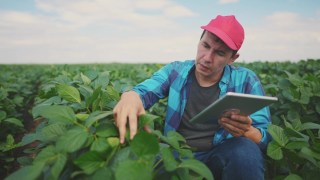 Visa Builds Programmable Finance Pilot for Brazilian Farmers Using CBDC 