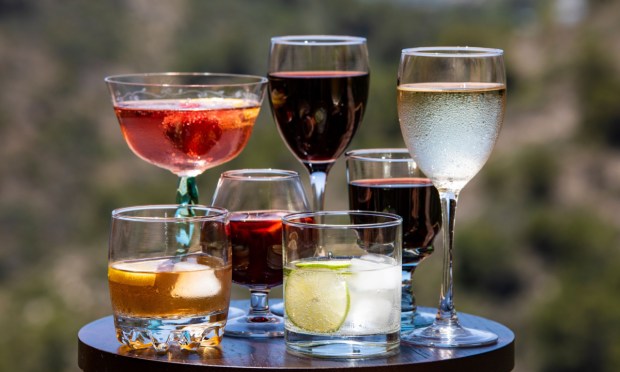 Walmart Expands Alcohol Delivery as Spirits Sector Toasts a Summer of Home Mixology