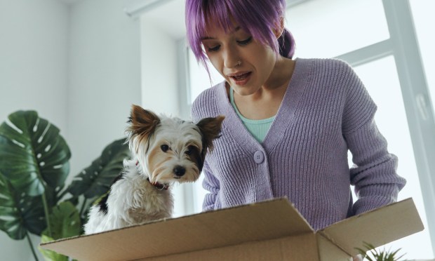 Bark Shifts Focus to Resonate With Consumers Beyond Subscriptions 