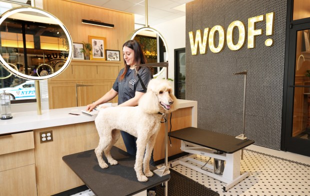 Petco Opens Destination for Pet Health and Wellness in NYC
