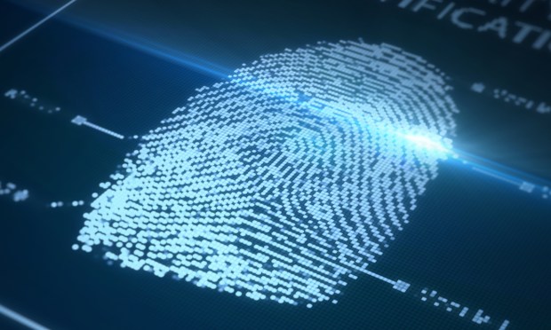 Merchants Ramp Up Biometrics Use to Meet Consumer Demand