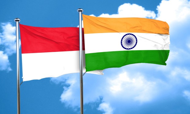 India and Indonesia flags