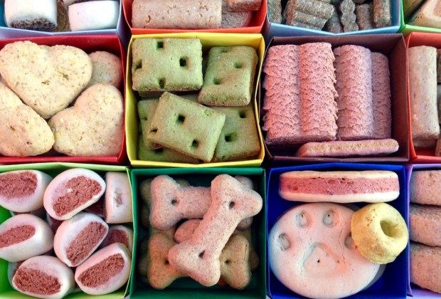 Consumers Consider Pet Supply Subscriptions as Essential as Household Items