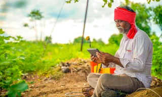 Tala Money App Gains 800,000 New Customers in First Half