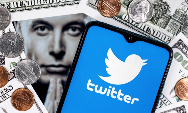 Musk: Twitter Still Cash Negative as Ad Revenues Plunge 50%