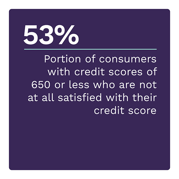 53%: Portion of consumers with credit scores of 650 or less who are not at all satisfied with their credit score