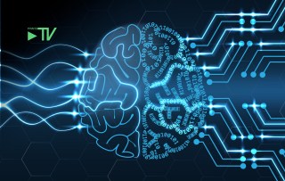 When AI Walks Like a Duck: Navigating Future Content Landscapes