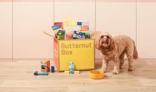 Buttnernut Box Raises Over $350 Million Amid Pet Care’s D2C Shift