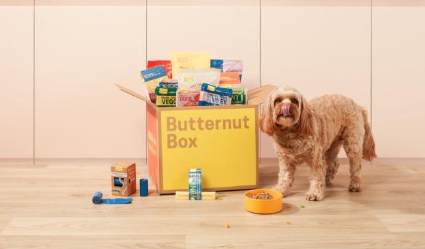 Buttnernut Box Raises Over $350M Amid Pet Care’s D2C Shift
