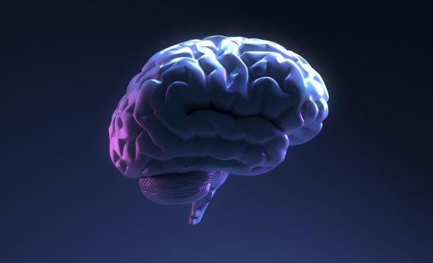 High Schoolers Use AI Biomarkers to Democratize Brain Health