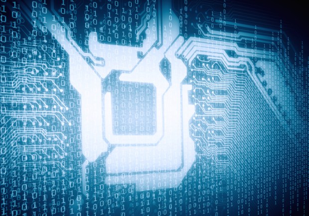 Walled Garden LLMs Build Enterprise Trust in AI