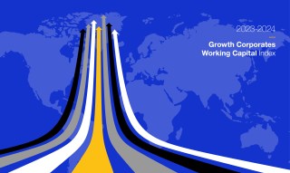 New Visa Index Reveals Working Capital Efficiencies for Mid-Market Companies