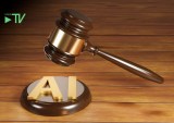 2024 May Mark a Year of AI Regulations and Bring Clarity to Risks