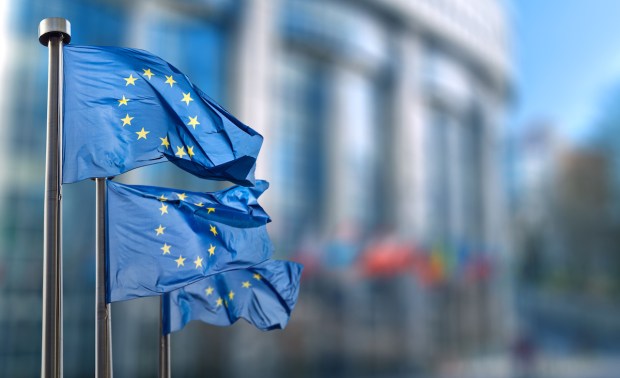 EU Official: ‘Dystopian’ Fears Shouldn’t Guide AI Regulation