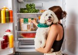 Freshpet Wants Scout to Be Pet Parents’ AI Copilot