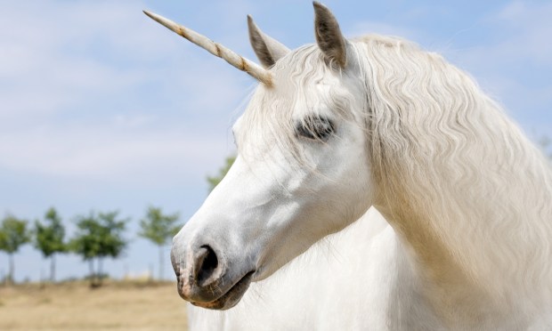 The Week in AI: Copilots, Unicorns and Calls for Oversight