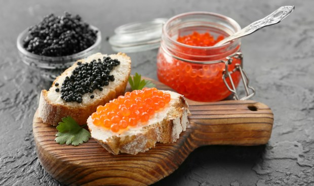 How Caviar Became Popular Catch of the Day